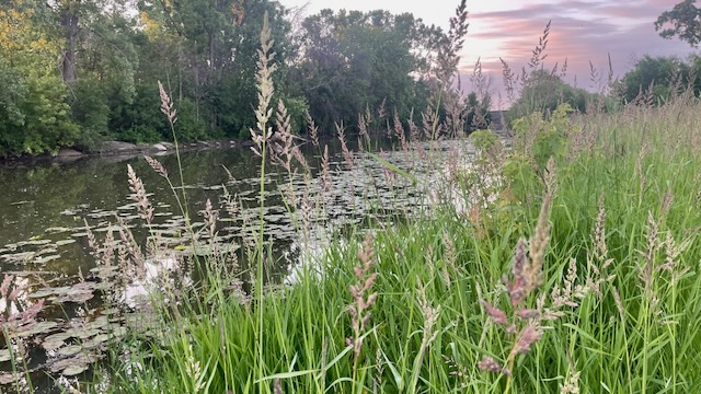 Night Sky over Neenah, Wisconsin